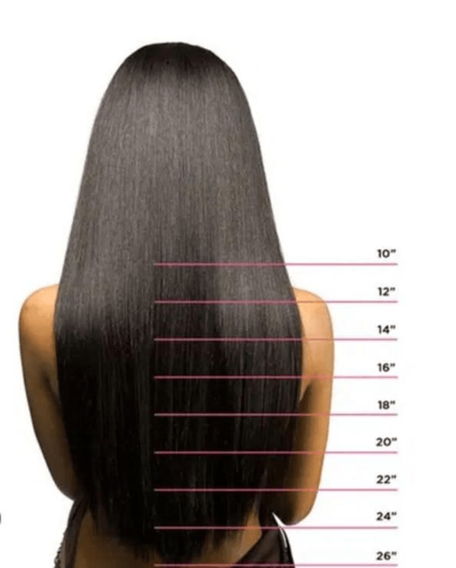 Perruque lace wig brune "16"